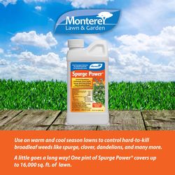 Monterey Spurge Power Broadleaf Herbicide Concentrate 1 pt