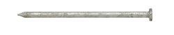 Ace 20D 4 in. Common Hot-Dipped Galvanized Steel Nail Flat Head 5 lb
