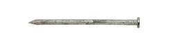 Ace 8D 2-1/2 in. Common Hot-Dipped Galvanized Steel Nail Flat Head 5 lb