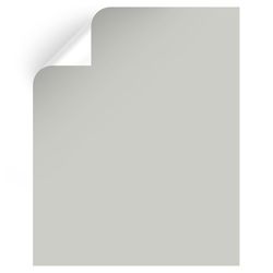 Magnolia Home by Joanna Gaines Emmie's Room Peel & Stick Color Sample MAG016