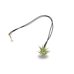 Russell's Bromeliads Necklace Air Plant