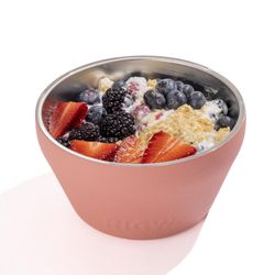 Rigwa Life Pint 28 oz Coral Food Storage 1 pk