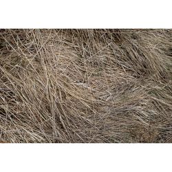 Retailer Sourced Coastal Bermuda Hay - Feed Bale