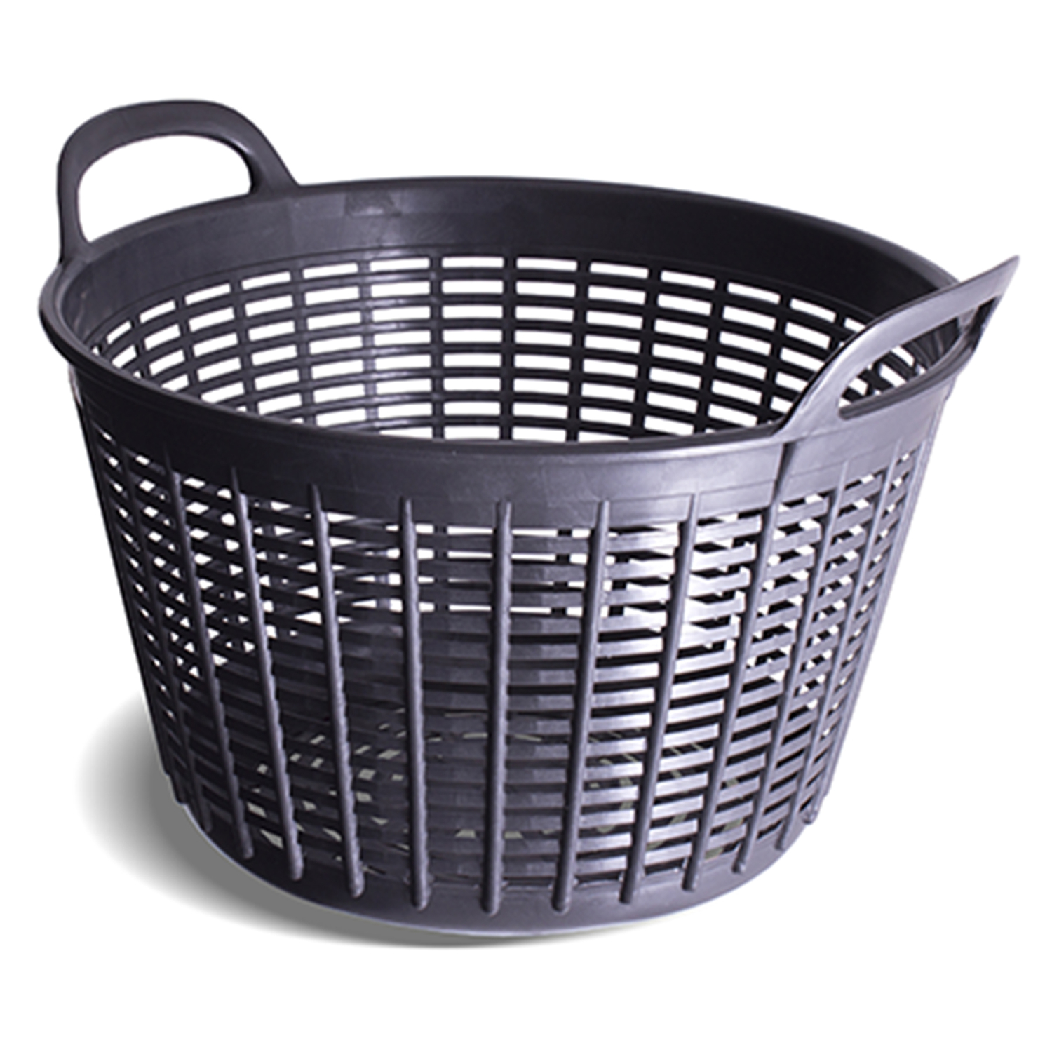 image-1