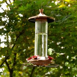 Perky-Pet Hummingbird 12 oz Copper/Glass Nectar Bird Feeder 4 ports