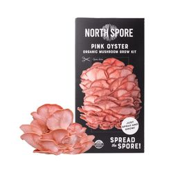 North Spore Spray & Grow Pink Oyster Mushroom Vegetable Plant