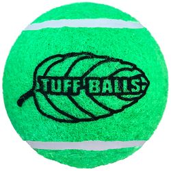 Petsport Tuff Balls For Dog Green Polyster/Rubber Jr. Mint Tennis Balls 2 pk