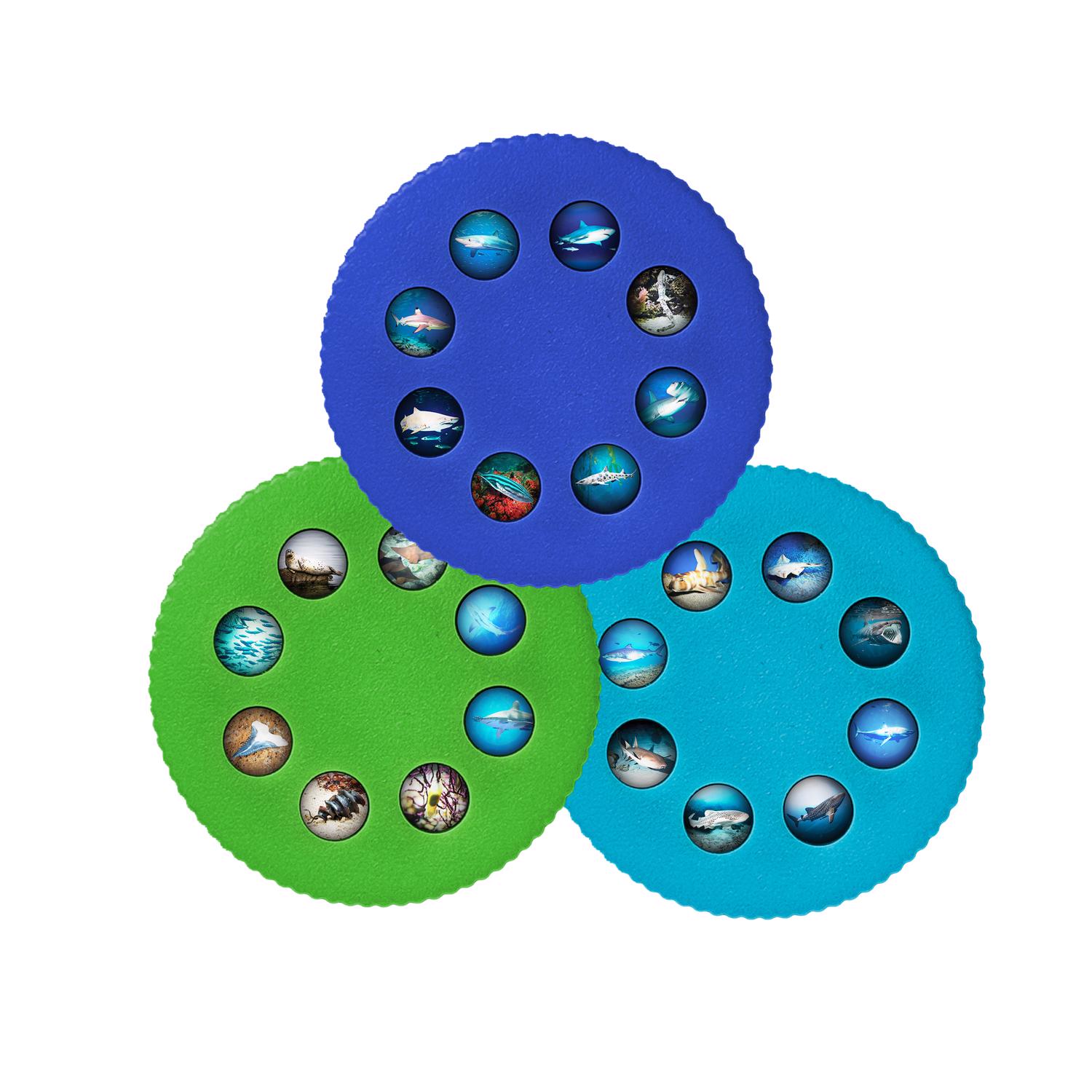 image-3