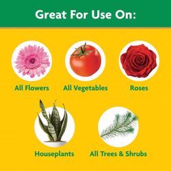 Miracle-Gro Powder Plant Food 1.5 lb