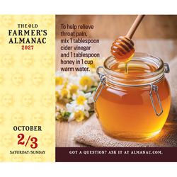 The Old Farmer's Almanac Yankee Publishing Fun for Every Day 2027 Calendar