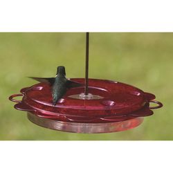 Birds Choice Hummingbird 0.75 oz Polycarbonate Hanging Nectar Bird Feeder 6 ports