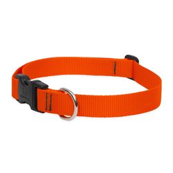 LupinePet Basic Solids Blaze Orange Blaze Orange Nylon Dog Adjustable Collar