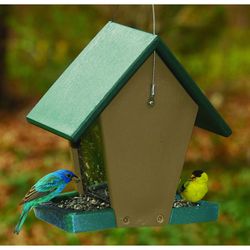 Songbird Essentials Wild Bird 1.5 qt Plastic Hopper Feeder Bird Feeder