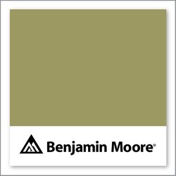 Benjamin Moore Ponderosa Pine 531