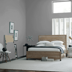 Clark+Kensington Neutral Water-Based Paint Sample 8 oz  BACKGROUND