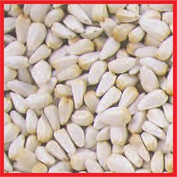 Cole's Wild Bird Food 5 lb