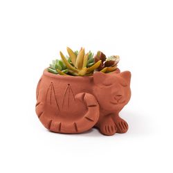 Matr Boomie 3 in. H X 4.5 in. W X 4.5 in. D Clay Cat Planter Terracotta