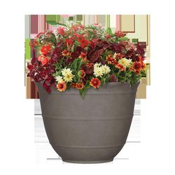 L&G Solutions 9.6 in. H X 12 in. W X 12 in. D X 12 in. D Polyresin Brighton Planter Mocha