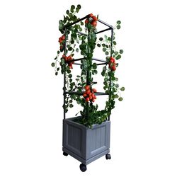 City Pickers 44 in. H X 10.75 in. W X 10.75 in. D Resin Trellis Tower Garden Bed Charcoal