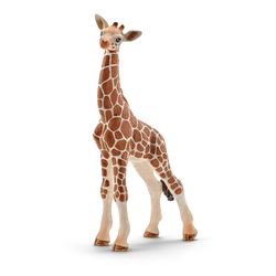 Schleich Wild Life Giraffe Calf Toy Multicolored