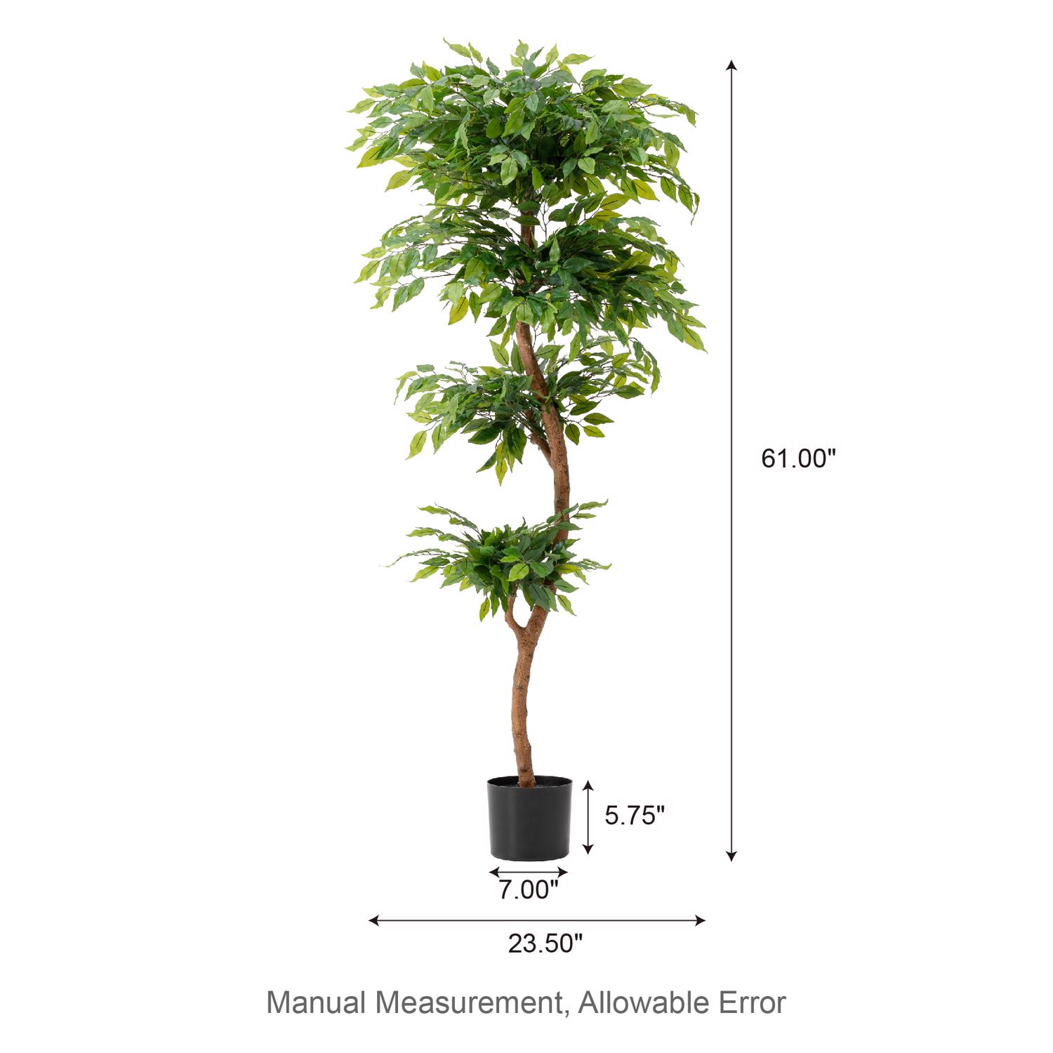 image-4