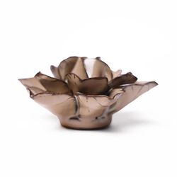 Chive Japan 1.6 in. H X 3.5 in. L Glazed Brown Ceramic Cactus Flower Wall Flower