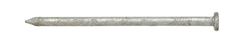 Ace 12D 3-1/4 in. Common Hot-Dipped Galvanized Steel Nail Flat Head 5 lb