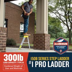 Werner 2 ft. H Aluminum Step Ladder Type IA 300 lb. cap.