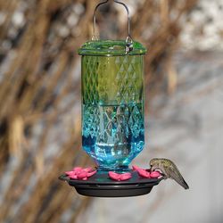 Nature's Way Hummingbird 23 oz Glass Bird Feeder 6 ports