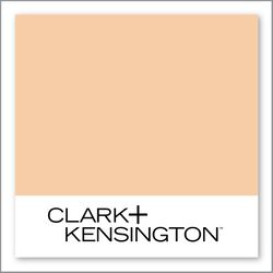 Clark+Kensington Hot Sand 14B-3