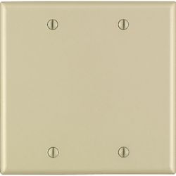 Leviton Ivory 2 gang Thermoset Plastic Blank Wall Plate 1 pk