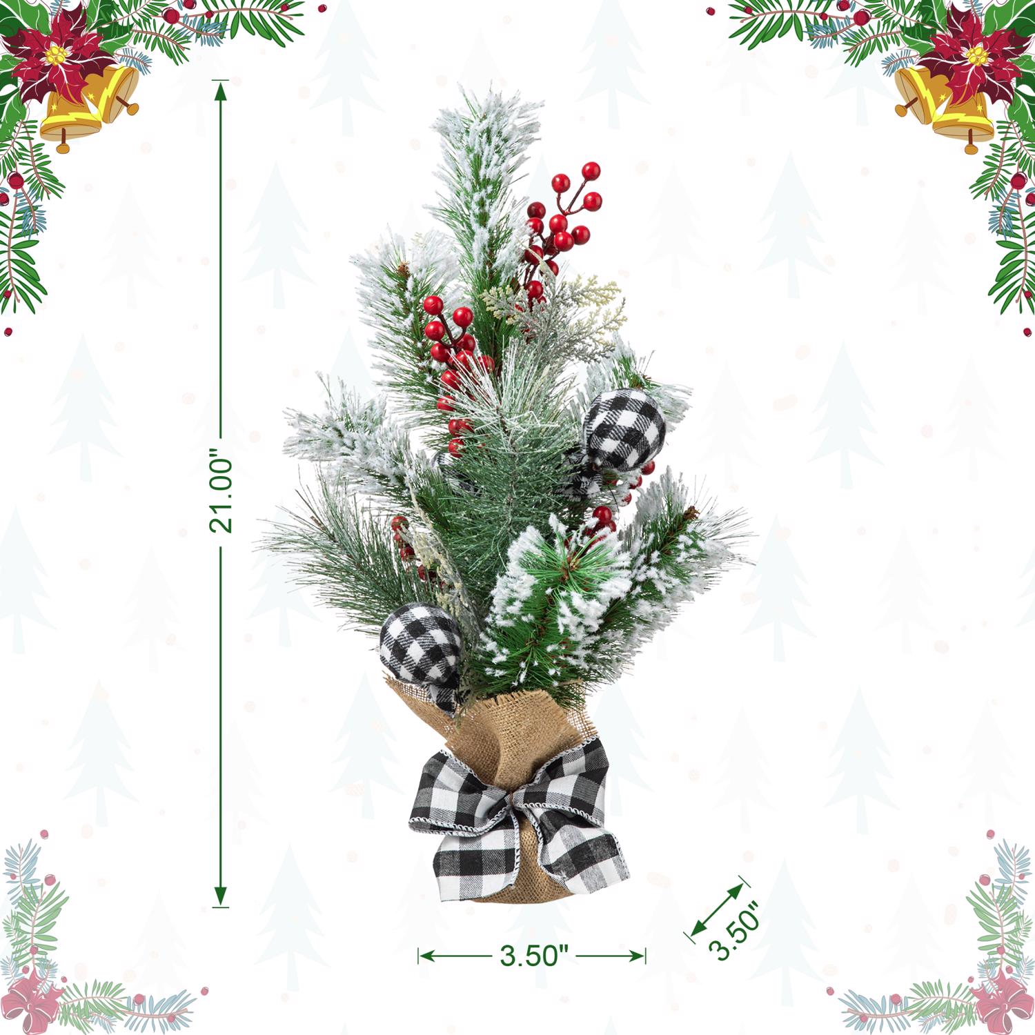 image-5