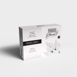 Celebrations Classic LED C9 Pure White 25 ct String Christmas Lights 16 ft.