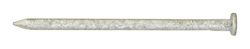 Ace 6D 2 in. Common Hot-Dipped Galvanized Steel Nail Flat Head 1 lb