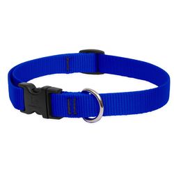LupinePet Basic Solids Blue Blue Nylon Dog Adjustable Collar