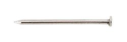 Ace 8D 2-1/2 in. Common Bright Steel Nail Round Head 5 lb