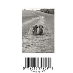 Avanti Press Greeting Cards