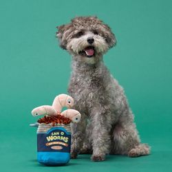 Bark For Dog Multicolored Plush Live Bait Bites Dog Toy 1 pk