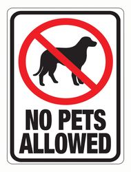 Hy-Ko English White Pet Sign 8.5 in. H X 12 in. W