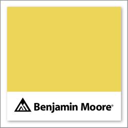 Benjamin Moore Majestic Yellow 355