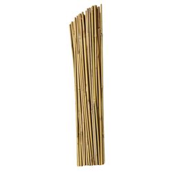 ATC 60 in. H X 3/8 in. W Natural Bamboo Garden Stakes