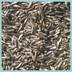 Cole's Wild Bird Food 5 lb