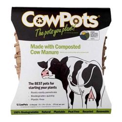 CowPots 1 Cells 3.38 in. H X 3.25 in. W X 2.25 in. L Seed Starting Pot 12 pk