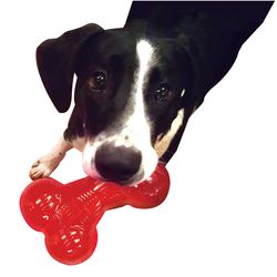 Spot Play Strong For Dog Red TPR Solid Rubber Bone 1 pk