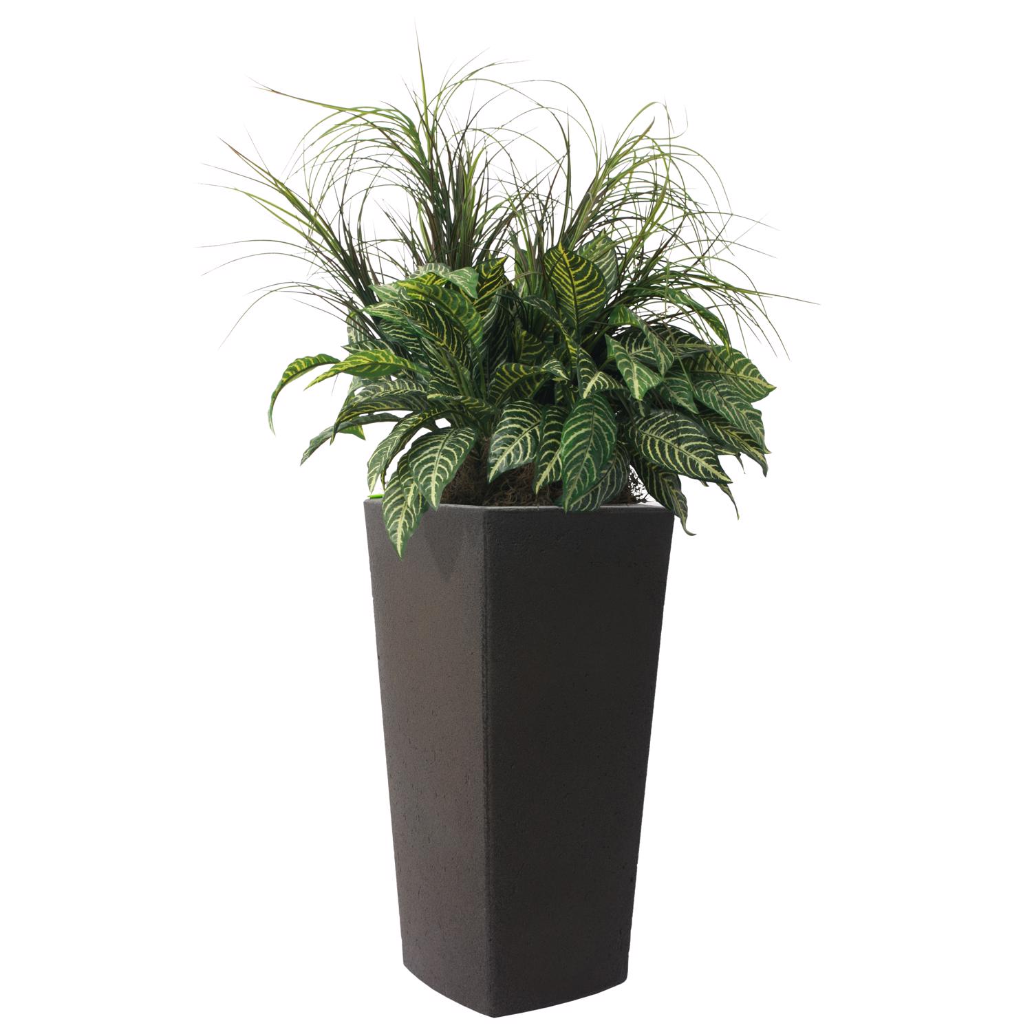image-4