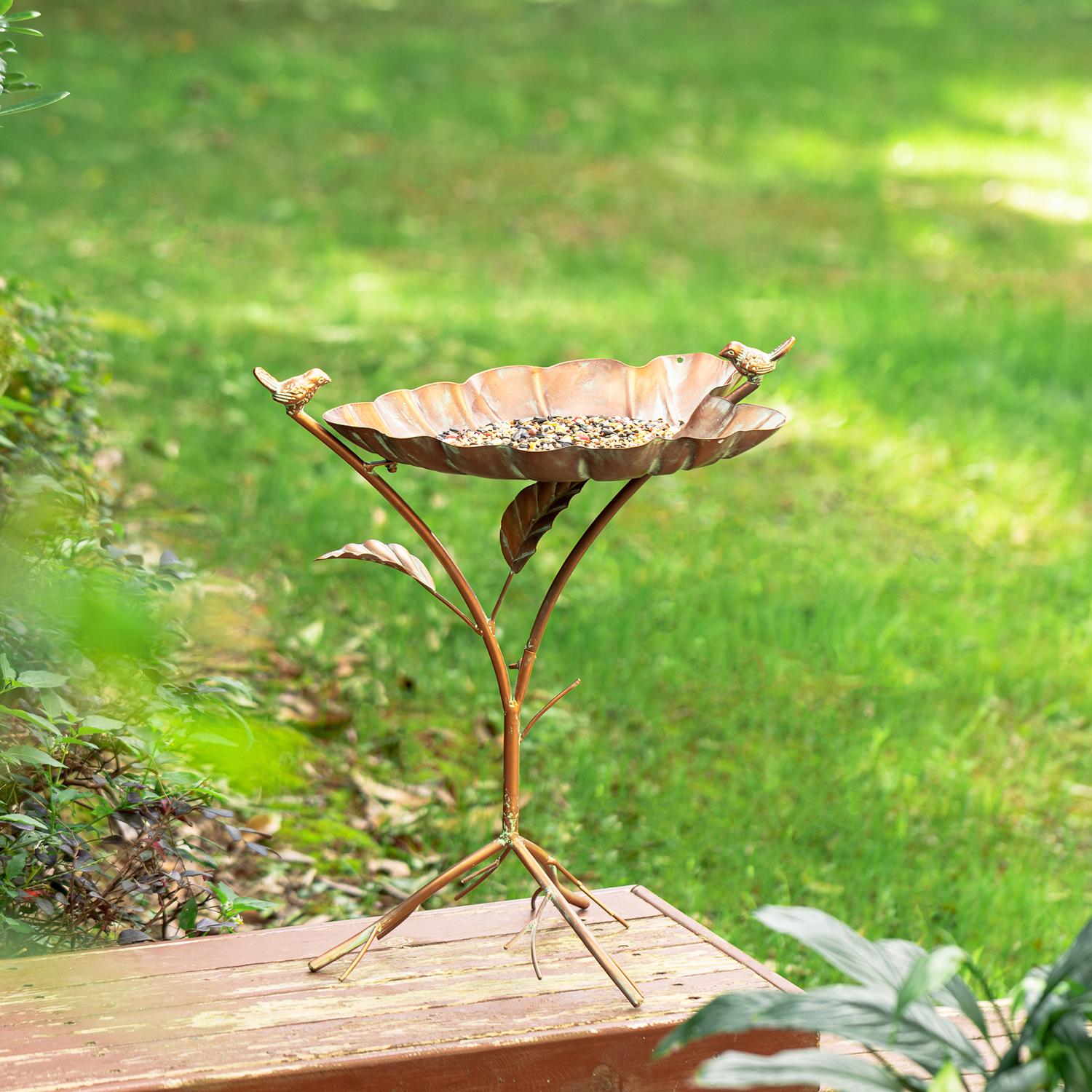 image-4
