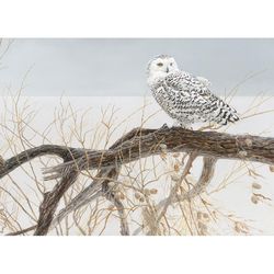 Cobble Hill Fallen Willow Snowy Owl Jigsaw Puzzle 500 pc