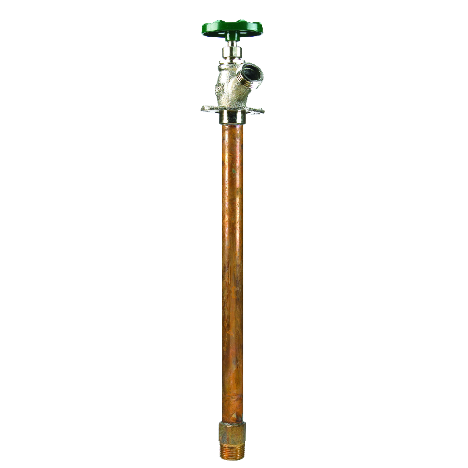 image-1