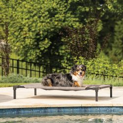 Coolaroo Beige Polyethylene Elevated Pet Bed 6.3 in. H X 27.5 in. W X 41 in. L