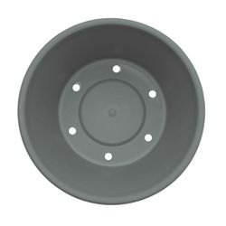 Bloem Terra 12.75 in. H X 15 in. W X 10.25 in. D Plastic Traditional Planter Basil